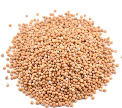 ADEN CENNET Mahlab frø 5 kg x 1 Stk