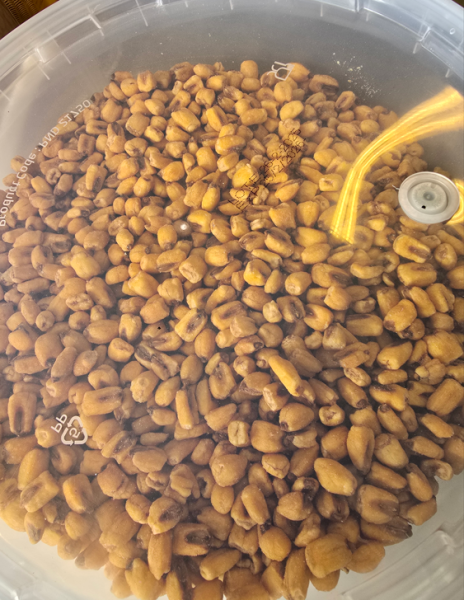 alFakhr Crispy Corn Salted - 2.5 kg Bucket